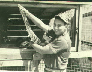 Pet Snake in Da Nang Vietnam 1965